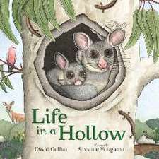 Life in a Hollow