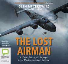 Meyerowitz, S: The Lost Airman