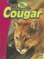 Cougar