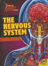 The Nervous System