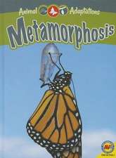 Metamorphosis