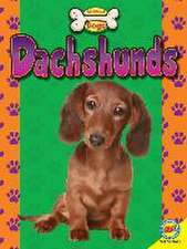 Dachshunds