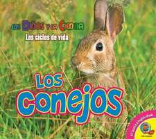 Los Conejos