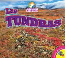 Las Tundras