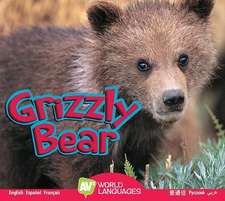 Grizzly Bear