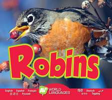 Robins