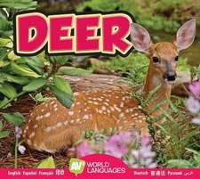 Deer