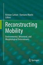 Reconstructing Mobility: Environmental, Behavioral, and Morphological Determinants