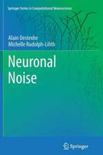 Neuronal Noise