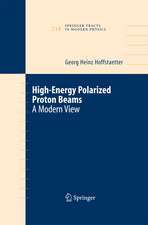 High Energy Polarized Proton Beams: A Modern View