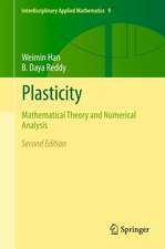 Plasticity: Mathematical Theory and Numerical Analysis