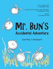 Mr. Bun's Accidental Adventure