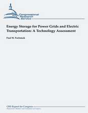 Energy Storage for Power Grids and Electric Transportation