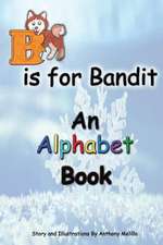 B Is for Bandit