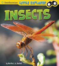 Rustad, M: Insects