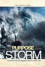 The Purpose of the Storm