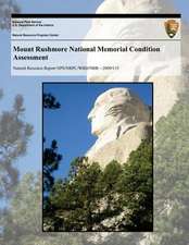 Mount Rushmore National Memorial Condition Assessment