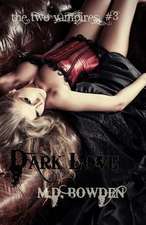 Dark Love (the Two Vampires, #3)