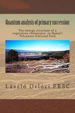 Quantum Analysis of Primary Succession