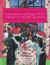 Adventures of Meg Only Twelve More Sleeps