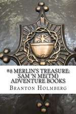 #8 Merlin's Treasure