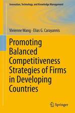 Promoting Balanced Competitiveness Strategies of Firms in Developing Countries