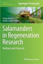 Salamanders in Regeneration Research