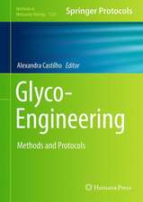 Glyco-Engineering