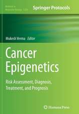 Cancer Epigenetics: Risk Assessment, Diagnosis, Treatment, and Prognosis