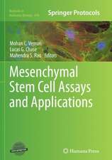 Mesenchymal Stem Cell Assays and Applications