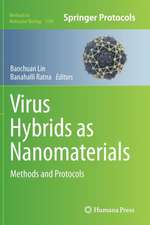 Virus Hybrids as Nanomaterials: Methods and Protocols