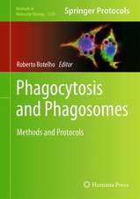 Phagocytosis and Phagosomes: Methods and Protocols