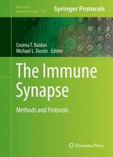 The Immune Synapse: Methods and Protocols