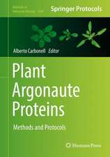 Plant Argonaute Proteins