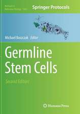 Germline Stem Cells