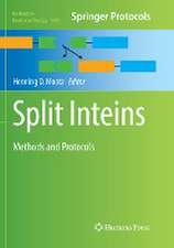 Split Inteins: Methods and Protocols