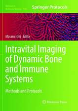 Intravital Imaging of Dynamic Bone and Immune Systems: Methods and Protocols