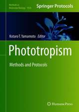 Phototropism