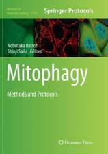 Mitophagy