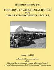 Recommendations for Fostering Environmental Justice for Tribes and Indigenous Peoples