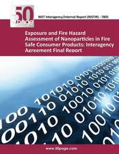 Exposure and Fire Hazard Assessment of Nanoparticles in Fire Safe Consumer Products