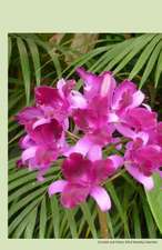 Orchid and Palms 2014 Weekly Calendar