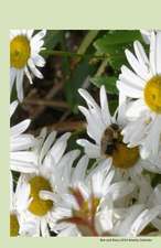 Bee and Daisy 2014 Weekly Calendar