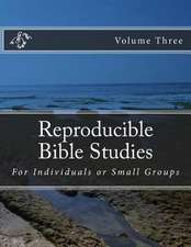 Reproducible Bible Studies