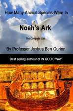 Noah's Ark