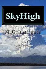 Skyhigh