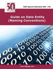 Guide on Data Entity (Naming Conventions)