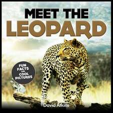 Meet the Leopard