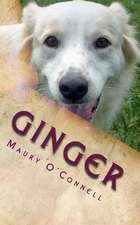 Ginger