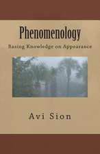 Phenomenology